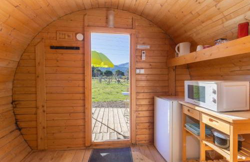 Barrel Violet - Foto 3