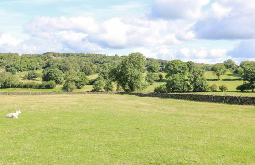 Brightside - Foto 30