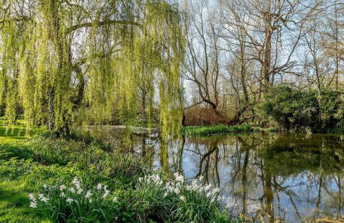 2 Bed in Durweston STOMI - Photo 21