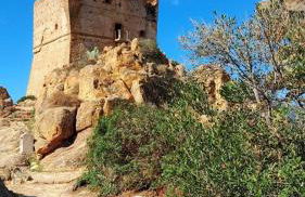 Terra Corsa Duplex T2 - Foto 42