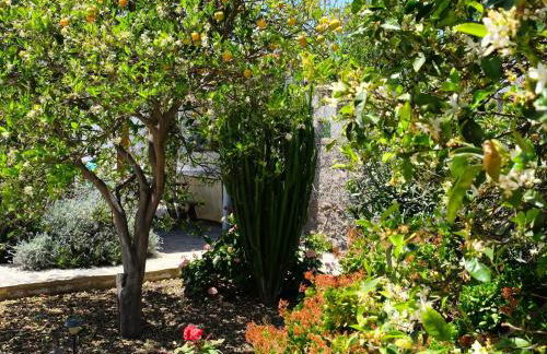 Casa rural sofia - Foto 9