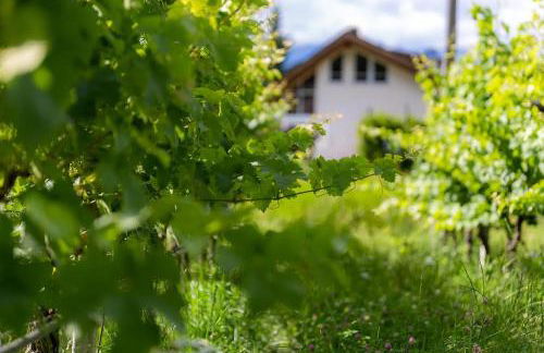 Florianshof - Foto 33