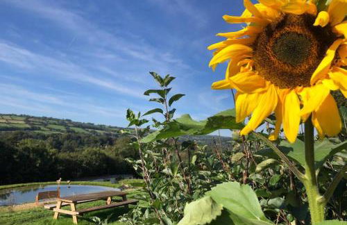 Stags View,Unique eco cabin, Dartmoor views - Foto 21