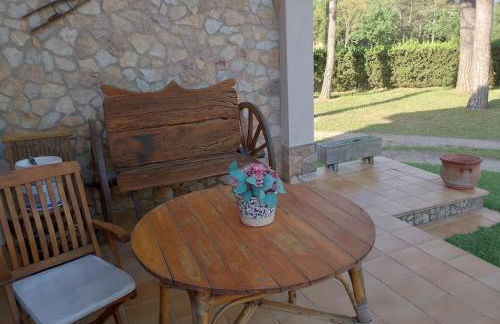 Mas Martí - Photo 5