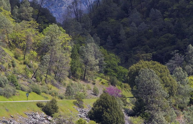 Strawhouse Resorts - Photo 66