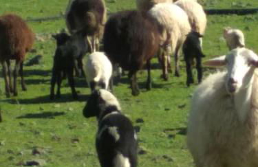 Κτήμα Κουρλή - Photo 19