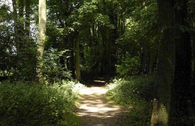 Lakes and Woodlands Overstone Holiday Park - Foto 34