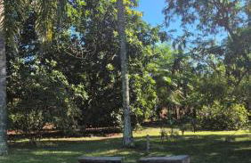 Chácara Santo Antonio - Foto 53