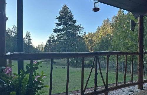 Skyline Ranch - Foto 52