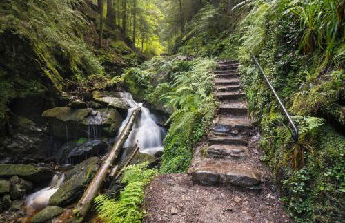 Blairlagan Lodge - Foto 24