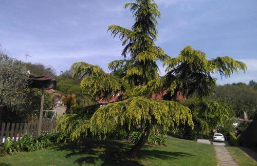 El Atico de Villalmar - Foto 49