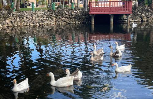 The Sanctuary House - Foto 24