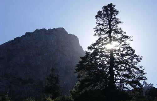 Casa Pepe La Rosa Atico - Foto 46