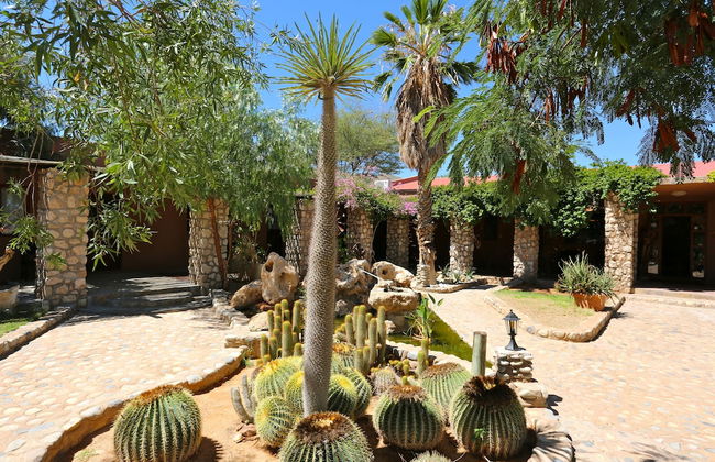 Solitaire Desert Farm - Foto 38