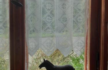 Ferienwohnung NH6 - Foto 13