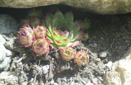 Villa Otto - Foto 25