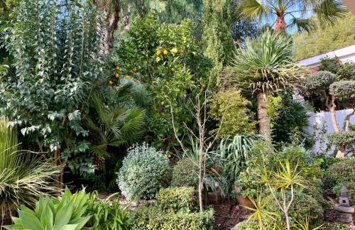 Entire villa with pool, ocean & mountain views - Foto 37