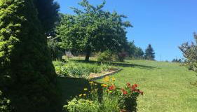 Haus Bergblick - Photo 5