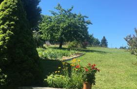 Haus Bergblick - Foto 5