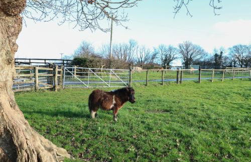 Saddlers Cottage, Berllandeg Farm - Foto 32