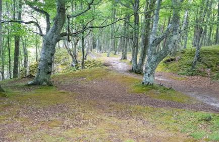 Seaview Apartment & rooftop terrace 77b - Foto 22