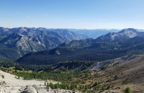 An Unexpected Twisp - Foto 14