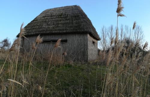 Il Piccolo Albero - Foto 40