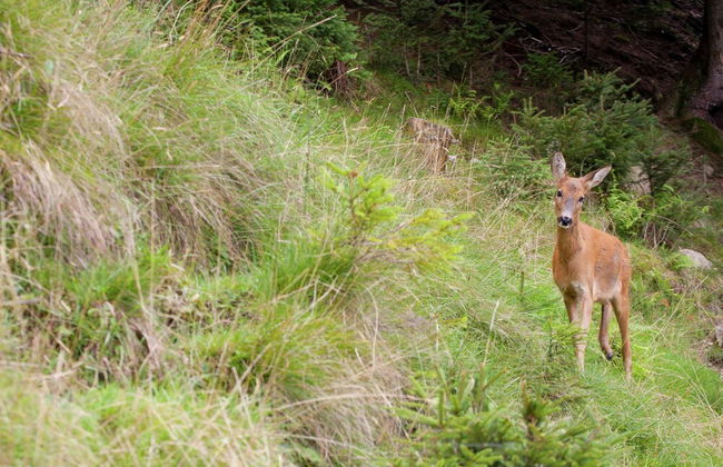 Apartment With Balcony in Brixen in Thale, Tyrol - Photo 20
