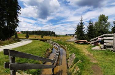 Appartement 13 im Haus Dreisessel - Foto 29