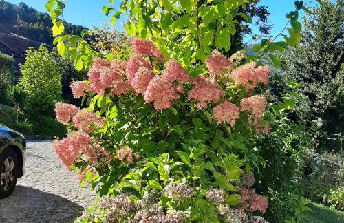 Casa do Loureiro - Apartamento - Foto 17