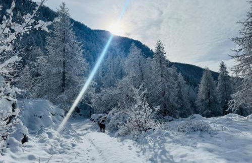 Gite T3 Le Balarino - Mercantour 1 - Foto 31