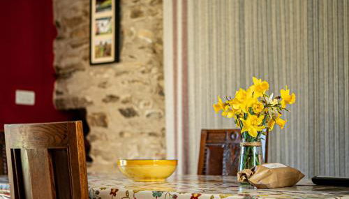 Cwt Mochyn Aberaeron - Photo 5