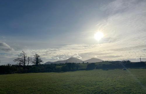 Mourne Meadow Cabins- Foxes Den - Foto 37