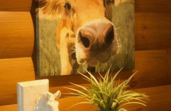 Elk Haven at Big Vista Ranch - Foto 13