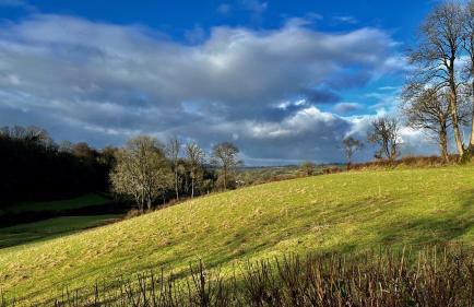 Cambrian Cottages - Charming Countryside Barn - Photo 93