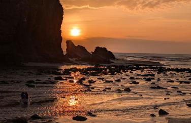 cellar cove - Foto 18