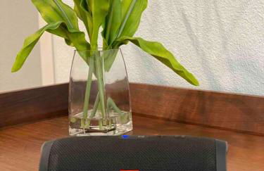 STARLANDING, 2 Kngs/2 Twns; DT/Museums/Trails - Foto 10