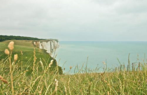 Le Continental - Foto 53