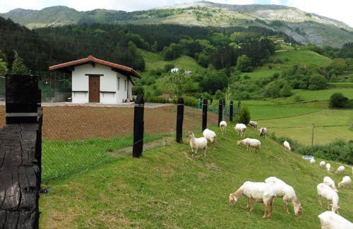 Txanpardin - Foto 71