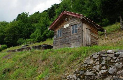 Chalet familial dans le Parc des Vosges, wifi et animaux acceptés - FR-1-589-840 - Foto 20