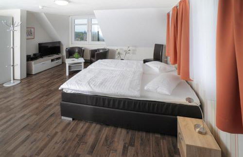 Le petit Palais - Apartments - Foto 36