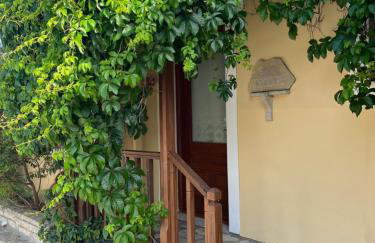 Pantheon Apartments & Studios - Photo 146