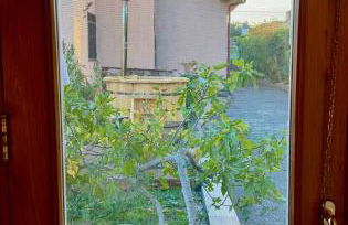 Casetta sull’Etna - Foto 9