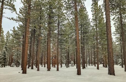 Cold Creek Chalet - Hot tub & Movie Room - Foto 67