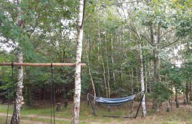 Dom na Kresach Grzybowszczyzna - Photo 40