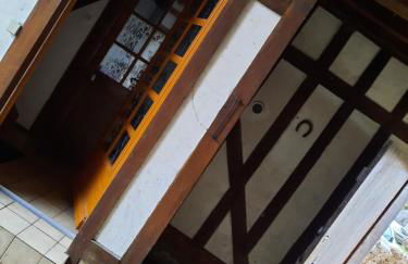 LES HIRONDELLES - Les gîtes du Der - - Foto 11