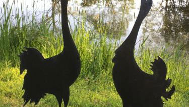 Ferienhaus Uferweg - Foto 4, Garden