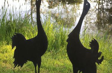 Ferienhaus Uferweg - Foto 4