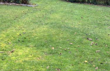 Craigievar Cottage Skelmorlie - Foto 43