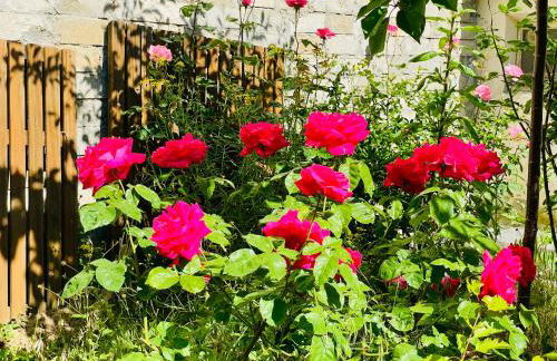 Jardin Vert - Maison Familiale Paris Sud - Foto 21